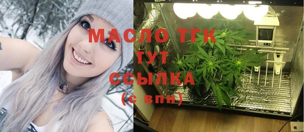 шишки Армянск
