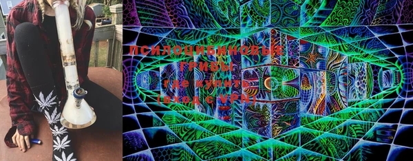 шишки Армянск