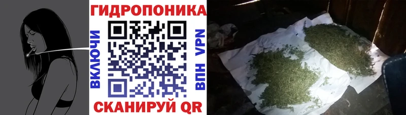 Купить закладки  Валуйки  МАРИХУАНА LSD WEED 